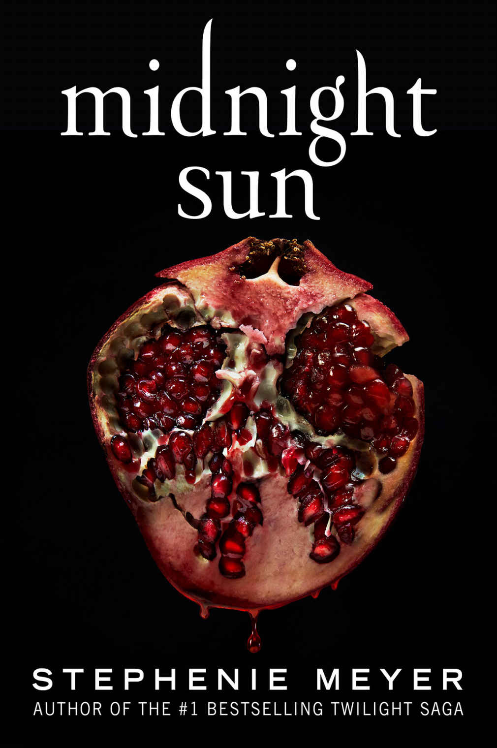 Midnight Sun ebook cover