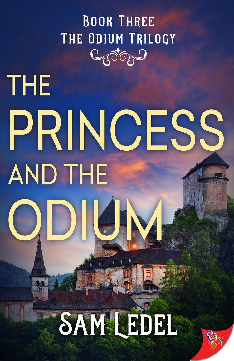 The Princess and the Odium ebook cover