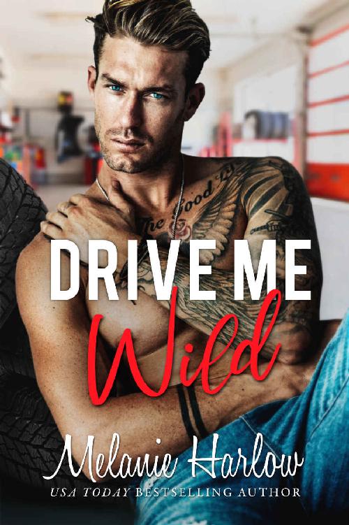 Drive Me Wild ebook cover