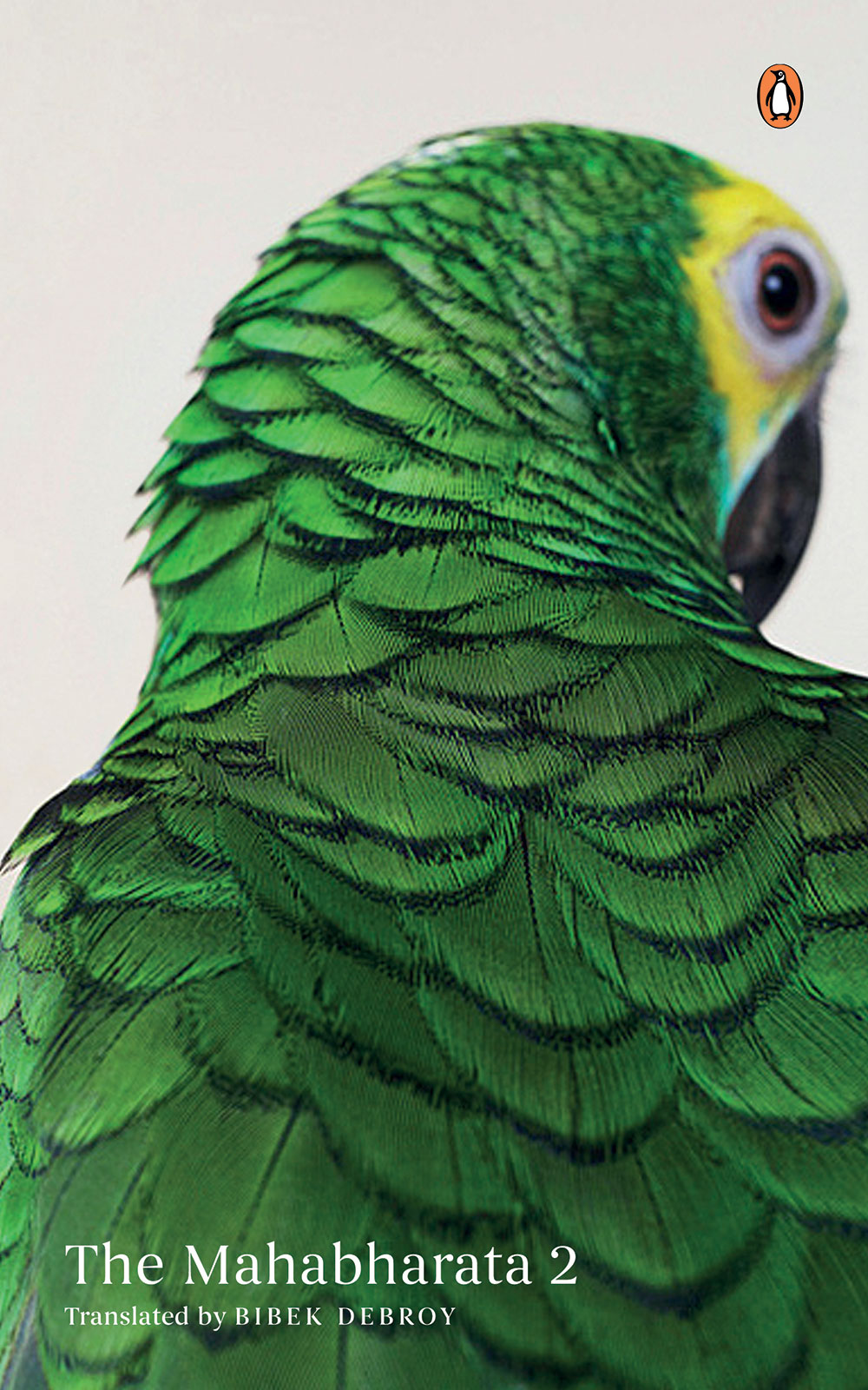 Mahabharata Volume 2 ebook cover