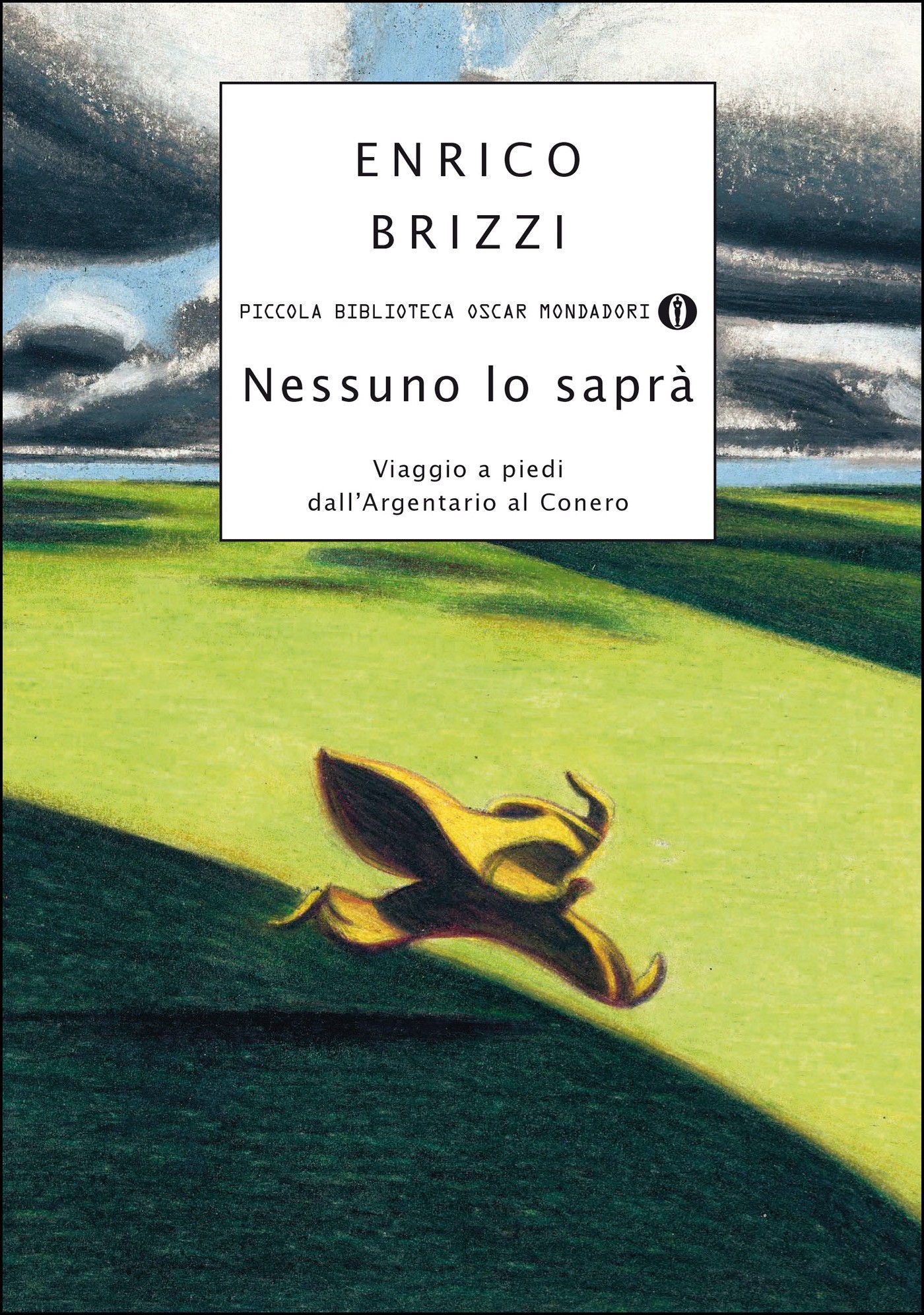 Nessuno lo sapr&Atilde;&nbsp; ebook cover