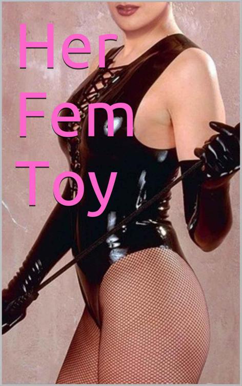 Her Fem Toy ebook cover