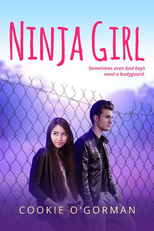 Ninja Girl ebook cover